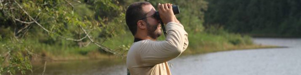 Busca ativa de aves