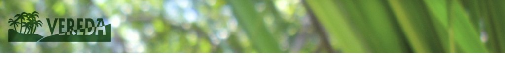 logo_vereda_head_branco