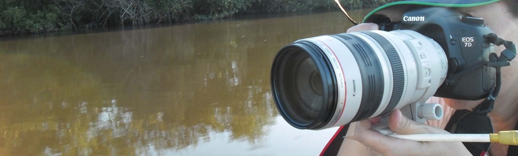 Registro fotográfico