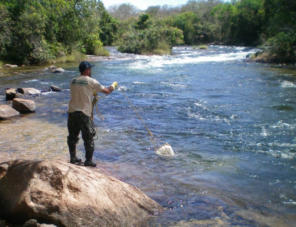 Coleta de plâncton